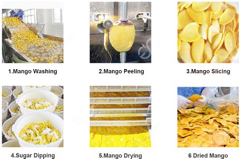 machine for drying fruits|Fully Automatic Dried Mango Fruits Processing Machine.